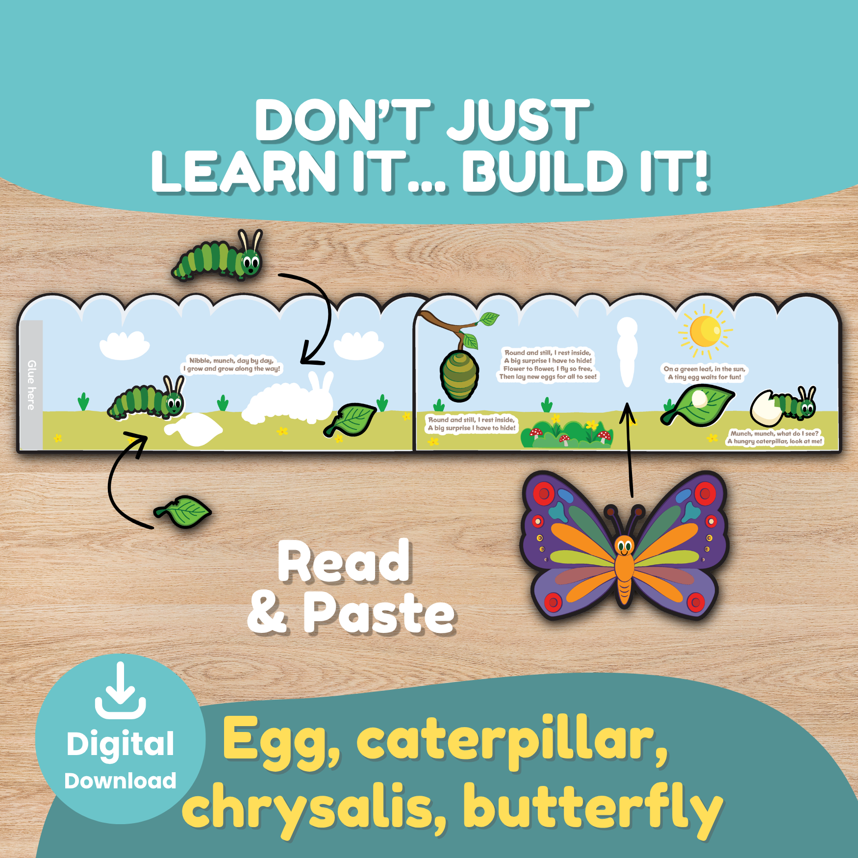 Child wearing a printable butterfly life cycle crown while learning the egg, caterpillar, chrysalis, and butterfly stages