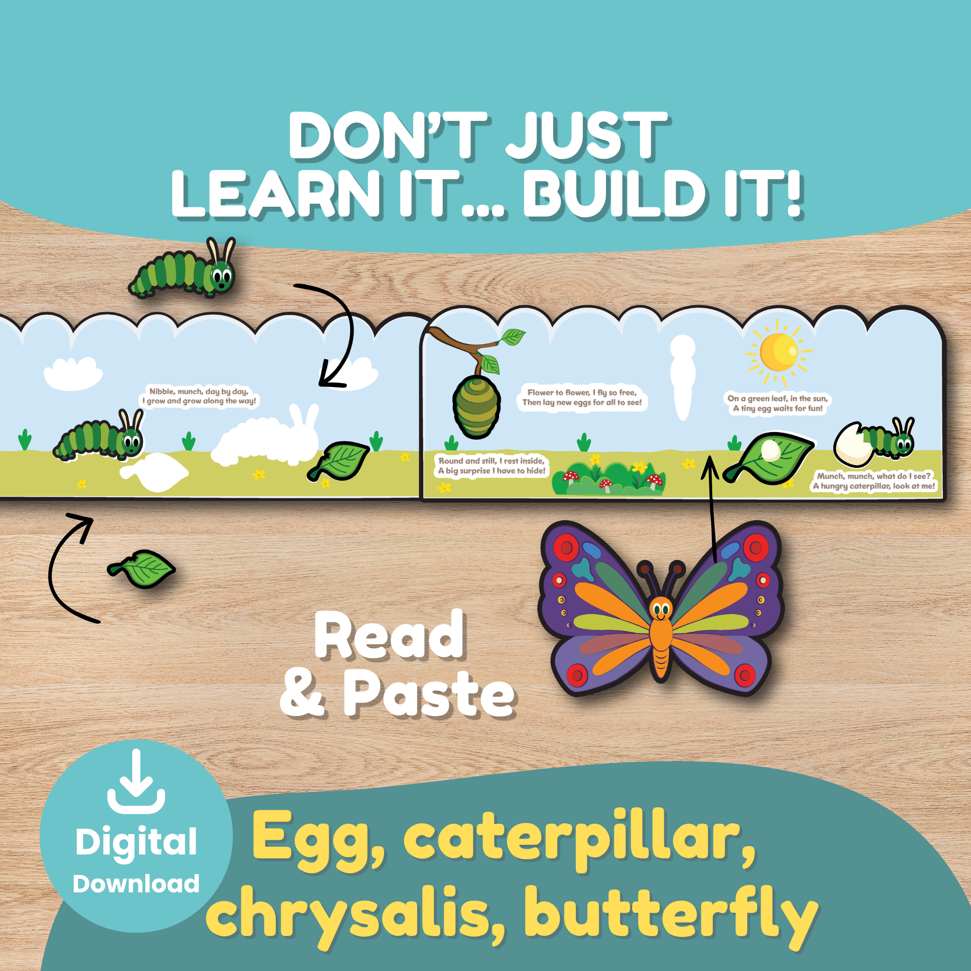 Child wearing a printable butterfly life cycle crown while learning the egg, caterpillar, chrysalis, and butterfly stages