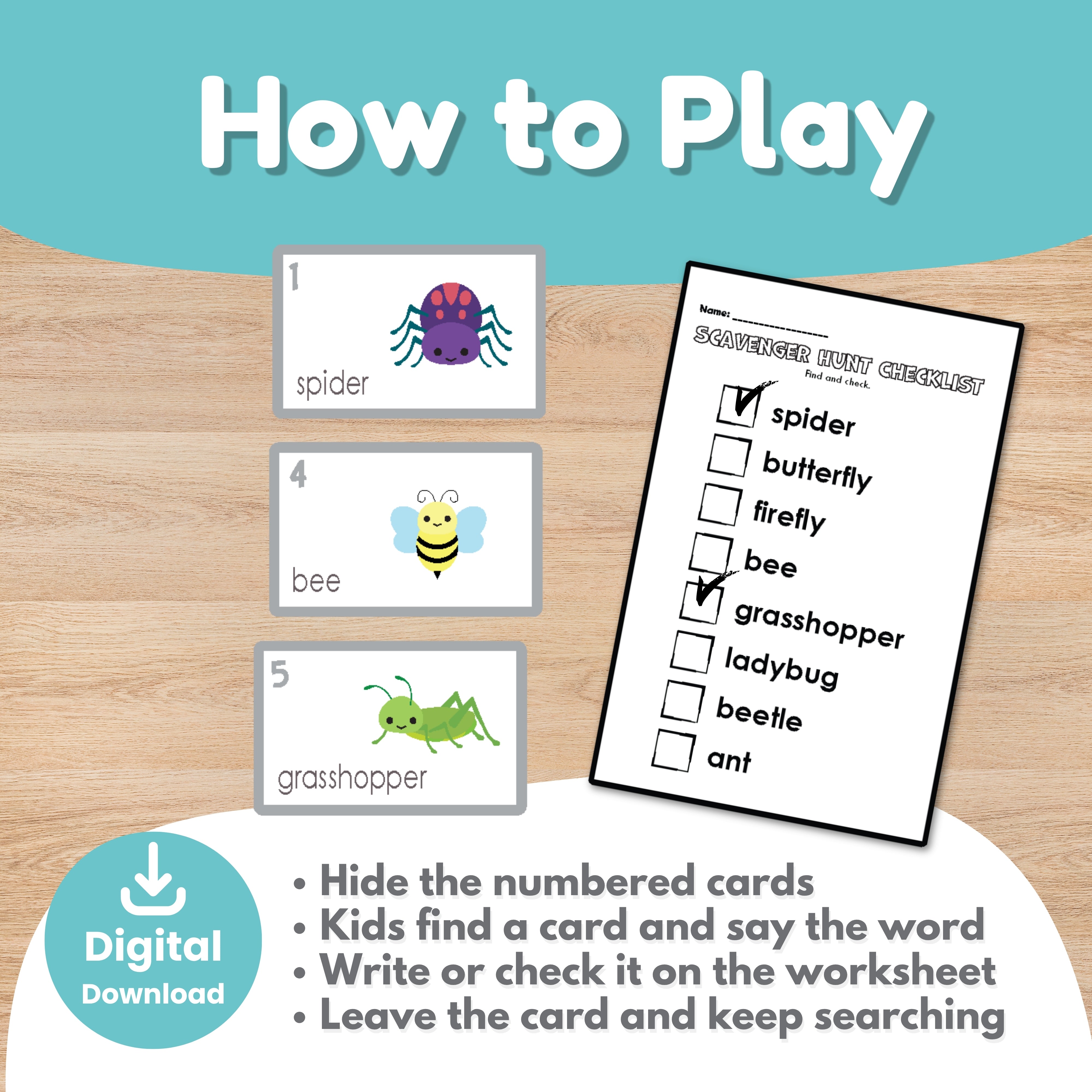 Bug flashcards vocabulary activity